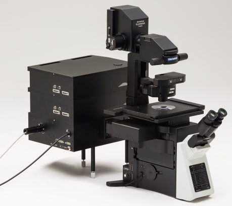 Olympus FV3000 激光共聚焦显微镜