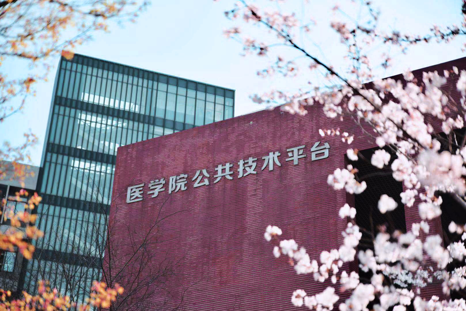 1574815550612387.jpg 微信图片_20190910144213.jpg
