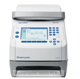 梯度PCR仪-2-浙儿-滨江