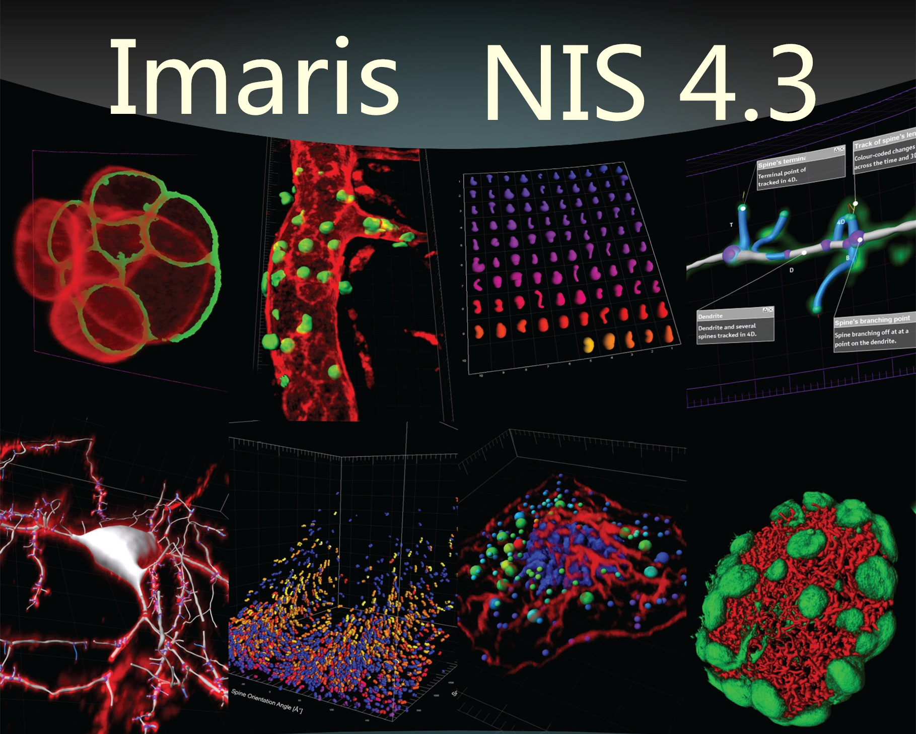 图像工作站（三）(imaris, huygens, cellsens)