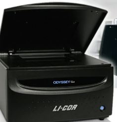 C328 Odyssey CLx红外激光双色图像分析系统