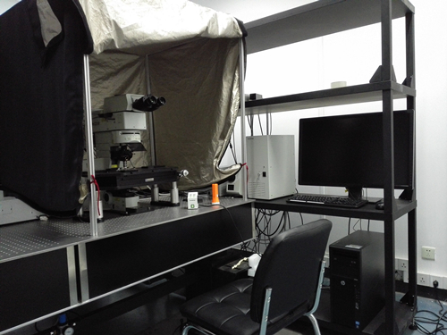 （B502）双光子激光扫描显微镜