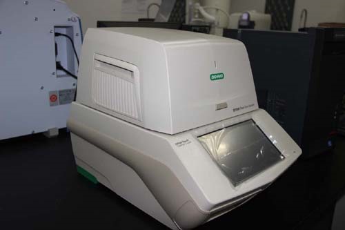 神经所荧光定量PCR仪（科B818）