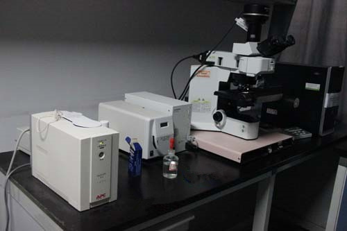 （A516）Olympus BX61电动正置荧光显微镜