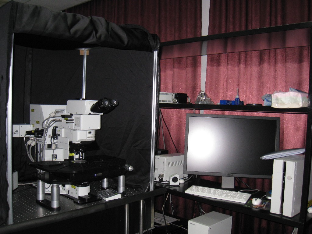 正置双光子共聚焦显微镜